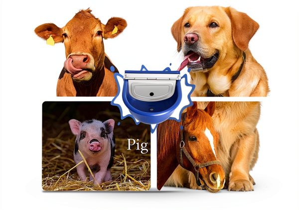Automatic Water Dispenser for Dogs Femitu 4L Bowl 39‑Inch Hose-6